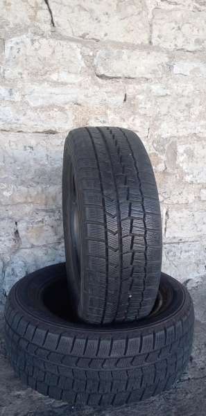 lameller Dunlop Winter Maxx WM02