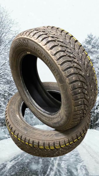 dubbdäck Falken Winterpeak F-Ice 1