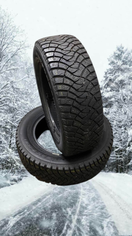 dubbdäck Falken Winterpeak F-Ice 1 DEMO